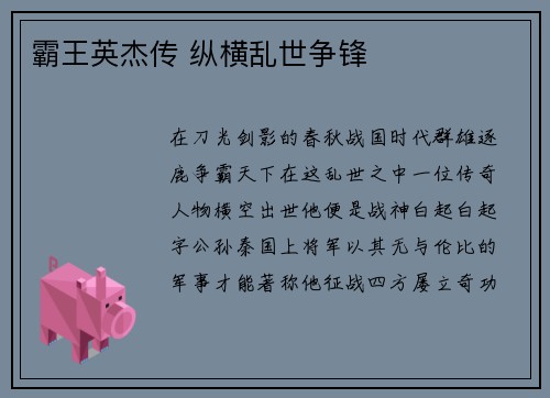 霸王英杰传 纵横乱世争锋